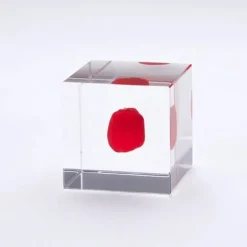 Sola Cube Huayruro Seed
